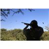 Image 4 : 4 Nights & 3 Days of Amazing Dove Hunting with Hunter Roy Wingshooting Argentina for up to 4 Hunters