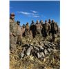Image 3 : North Dakota Waterfowl Hunt for 2 Hunters for 4 Days/4 Nights with Cold Water Outfitters