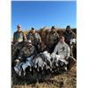 Image 4 : North Dakota Waterfowl Hunt for 2 Hunters for 4 Days/4 Nights with Cold Water Outfitters
