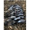 Image 5 : North Dakota Waterfowl Hunt for 2 Hunters for 4 Days/4 Nights with Cold Water Outfitters