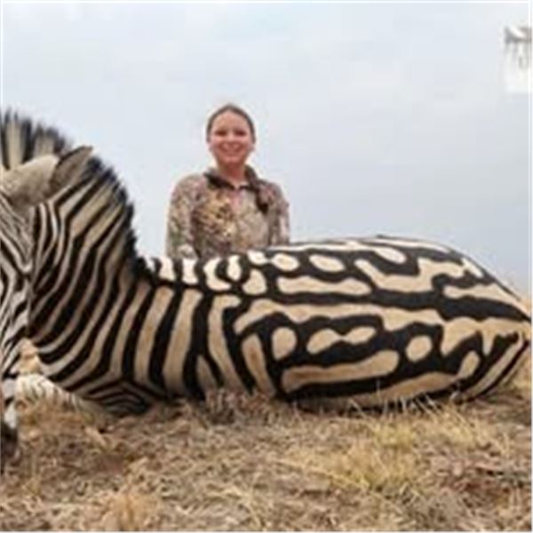 10 Day/9 Night Plains Game Hunt in the Limpopo Province South Africa for up to 4 Hunters with Ubathi