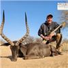 Image 2 : 10 Day Plains Game Hunt in South Africa for up to 4 Hunters with Ubathi Global Safaris