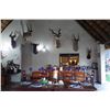 Image 9 : 10 Day Plains Game Hunt in South Africa for up to 4 Hunters with Ubathi Global Safaris