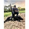 Image 3 : Texas Hog Hunt for 2 Hunters for 3 Days/3 Nights with Cold Water Outfitters
