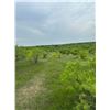 Image 4 : Texas Hog Hunt for 2 Hunters for 3 Days/3 Nights with Cold Water Outfitters