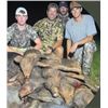 Image 6 : Texas Hog Hunt for 2 Hunters for 3 Days/3 Nights with Cold Water Outfitters