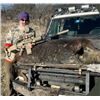 Image 7 : Texas Hog Hunt for 2 Hunters for 3 Days/3 Nights with Cold Water Outfitters