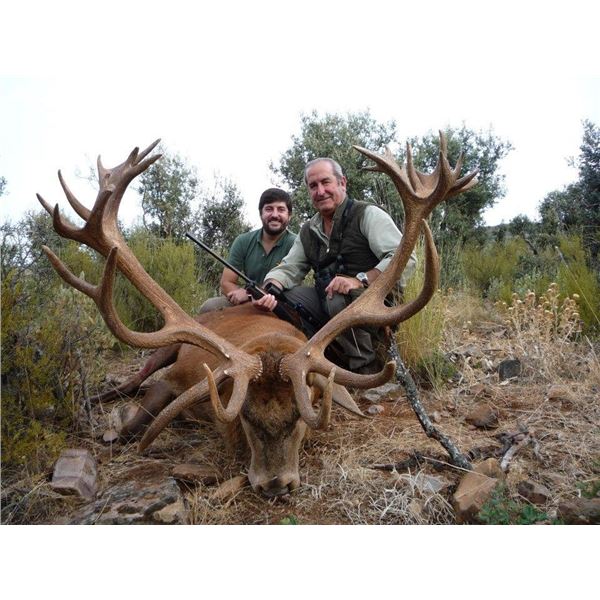 3 Day Amazing Spanish Hunt for 1 Iberian Red Deer for 1 Hunter with Giuseppe Carrizosa – SP