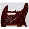 Image 1 : Alan Jackson Tortoise Shell Telecaster Pick Guard
