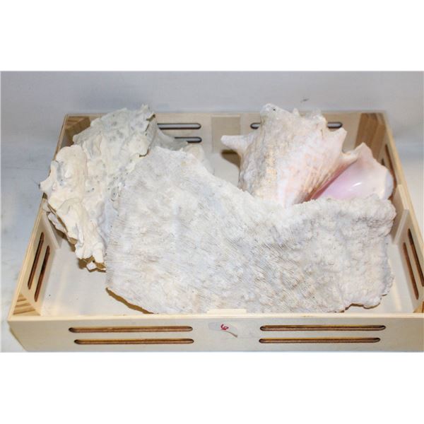 VINTAGE 2 DIFFERENT 10" PIECES OF OFF-WHITE