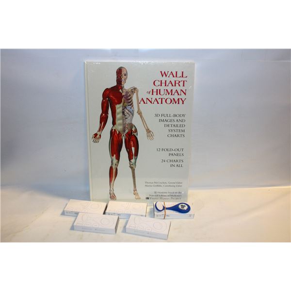 5 NEW IN BOX NURSES WATCHS SEALED ANATOMY CHARTS