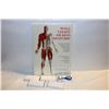 Image 1 : 5 NEW IN BOX NURSES WATCHS SEALED ANATOMY CHARTS