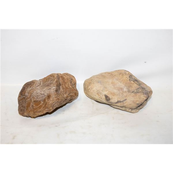 PETRIFIED/FOSSILIZED WOOD LOT