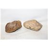 Image 1 : PETRIFIED/FOSSILIZED WOOD LOT