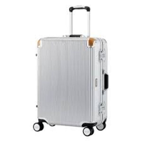 NEW LETOME 24-INCH SPINNER LUGGAGE