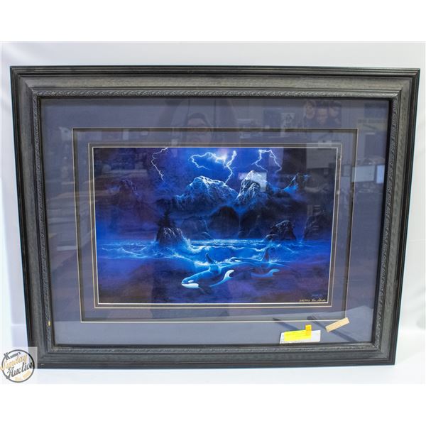 KEN SKODA LIMITED EDITION ORCA