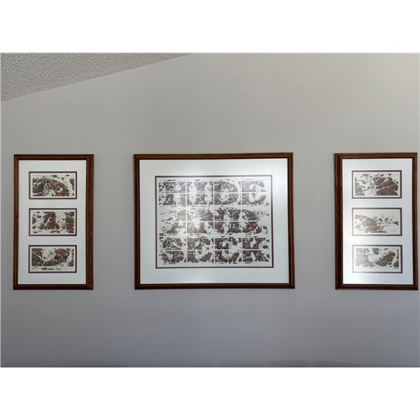 Bev Doolittle "Hide and Seek"