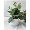 Image 2 : Faux Potted Plants