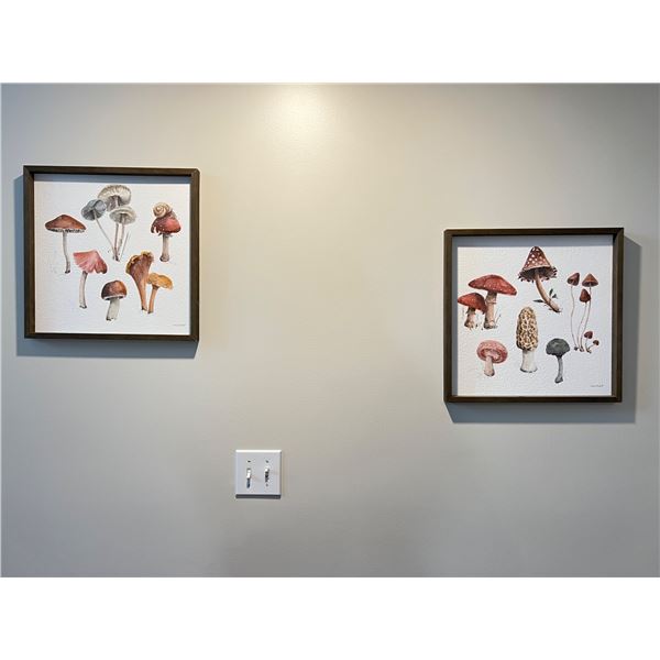 Lisa Audit Mushroom Art