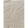 Image 5 : 1930s Pennsylvania Star Garden Maze Quilt