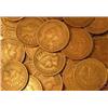 Lot of 162 Indian Head Pennies