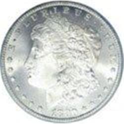 Lot of 9 Stunning Frosty White Morgans  $ 1