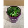 Image 2 : Item 28
