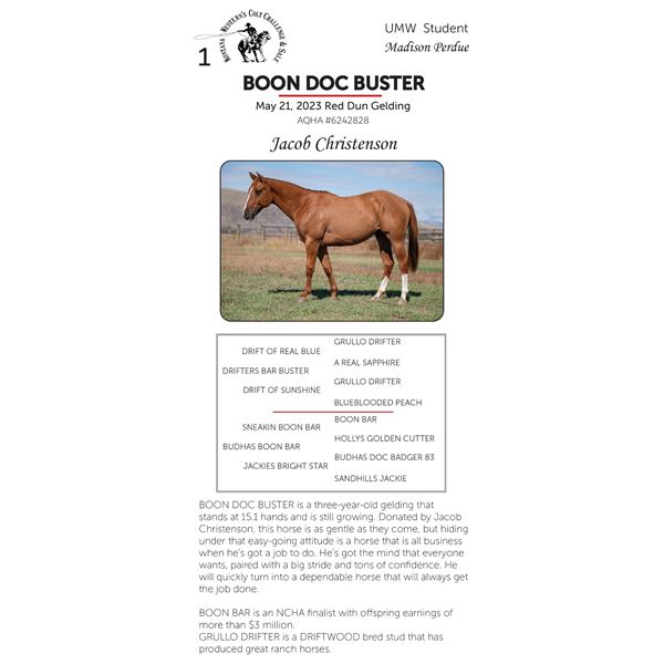 BOON DOC BUSTER