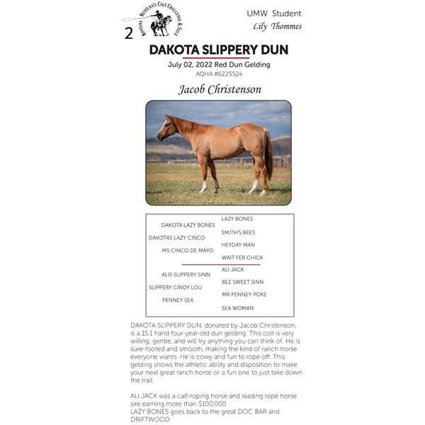 DAKOTA SLIPPERY DUN