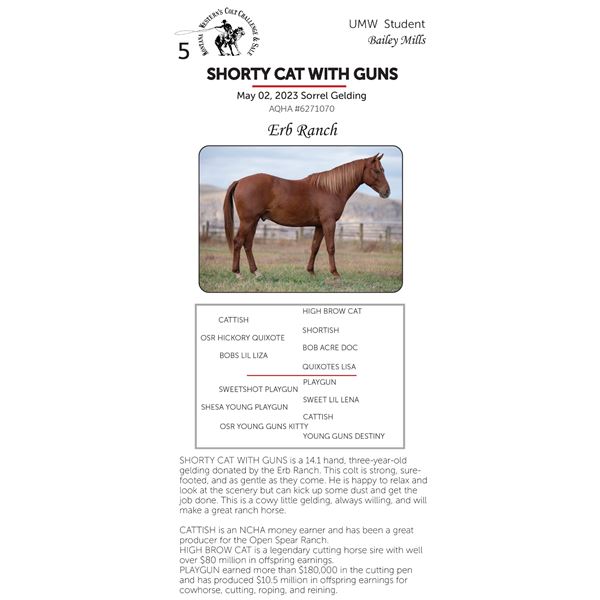 SHORTY CAT WITH GUNS