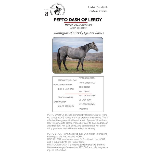 PEPTO DASH OF LEROY