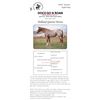 Image 1 : DOCS GO N ROAN