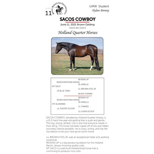 SACOS COWBOY