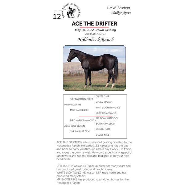 ACE THE DRIFTER