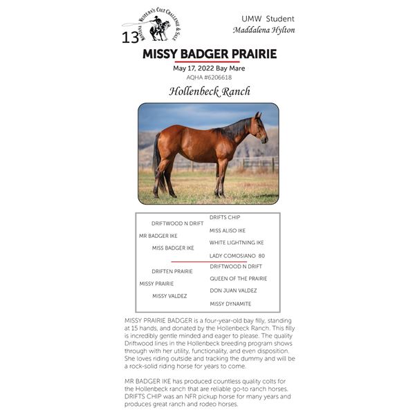 MISSY BADGER PRAIRIE