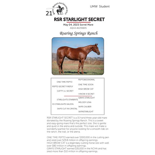 RSR STARLIGHT SECRET
