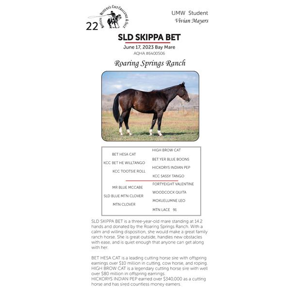 SLD SKIPPA BET