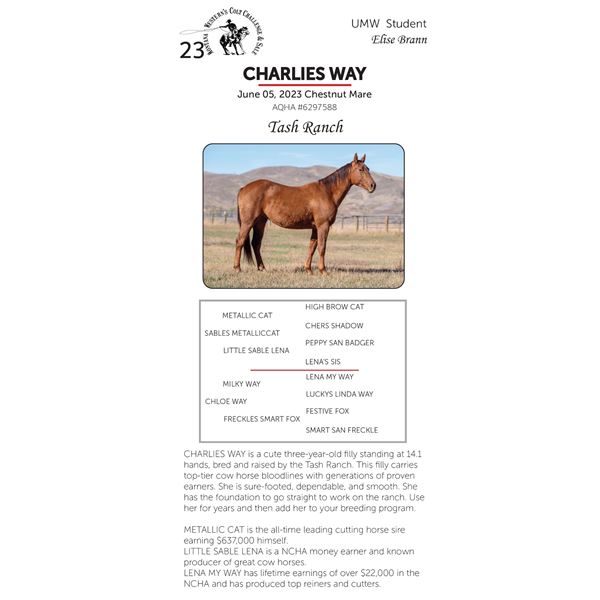 CHARLIES WAY
