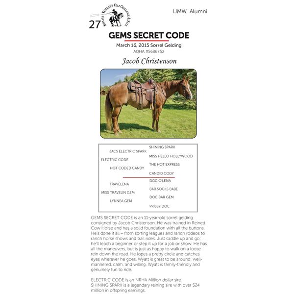 GEMS SECRET CODE