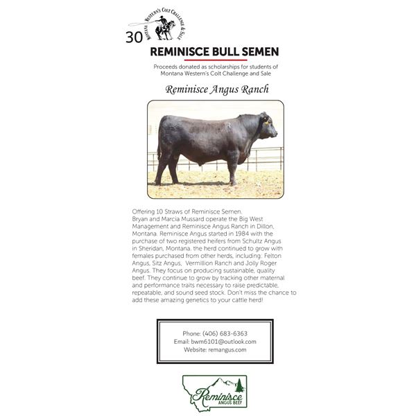 REMINISCE BULL SEMEN
