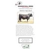 Image 1 : REMINISCE BULL SEMEN