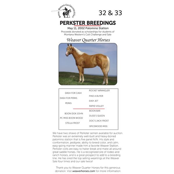 PERKSTER BREEDINGS