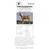 Image 1 : PERKSTER BREEDINGS