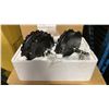Image 2 : CASE OF 4 BLACK 53621 HR-7D ELECTRIC BIKE MOTOR UNITS