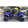 Image 2 : SDLANCH XY200KT BLUE GAS POWERED UTV/SIDE BY SIDE *ASSEMBLED*