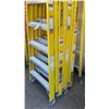 Image 4 : 4 FEATHERLITE YELLOW 10' LADDERS
