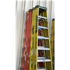 Image 2 : 4- 10' LADDERS 3 FEATHERLITE & 1 WERNER