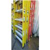 Image 4 : 4- 10' LADDERS 3 FEATHERLITE & 1 WERNER