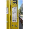 Image 5 : 4- 10' LADDERS 3 FEATHERLITE & 1 WERNER