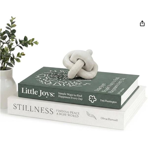 MESMOS Decorative Books – Set of 2 Hidden Storage Boxes for Home Decor, Living Room and Boo